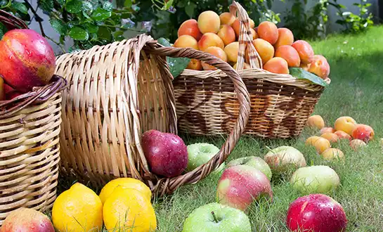 Solving Nutrient Lock-in for Fruit Trees Using Organic Peptides